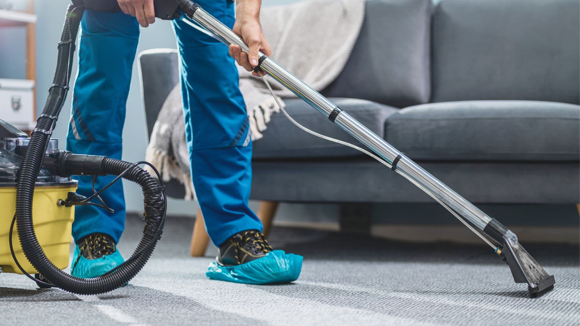 Carpet Cleaning Sheffield carpet cleaning sheffield.jpg (1)